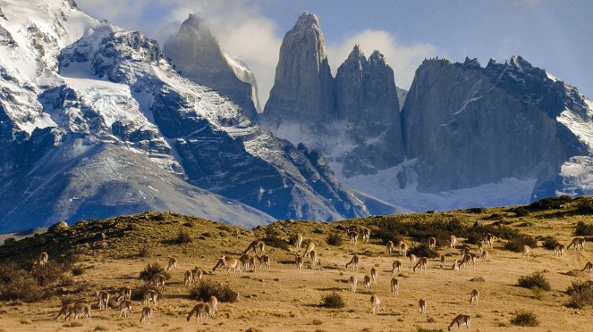 Chile: A Wild Journey - Film