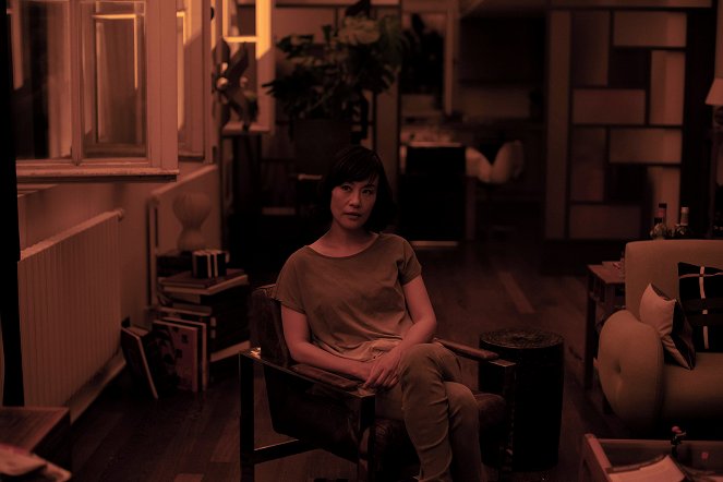 Irma Vep - The Poisoner - Filmfotók - Vivian Wu