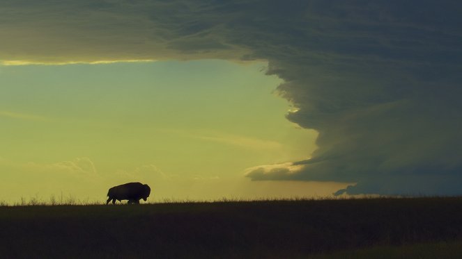 America the Beautiful - Heartland - Van film