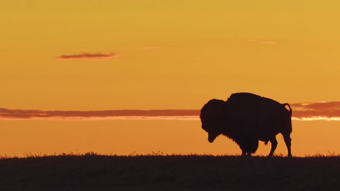 America the Beautiful - Heartland - Film