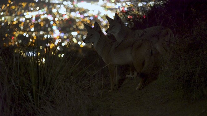 America the Beautiful - Wild West - Photos