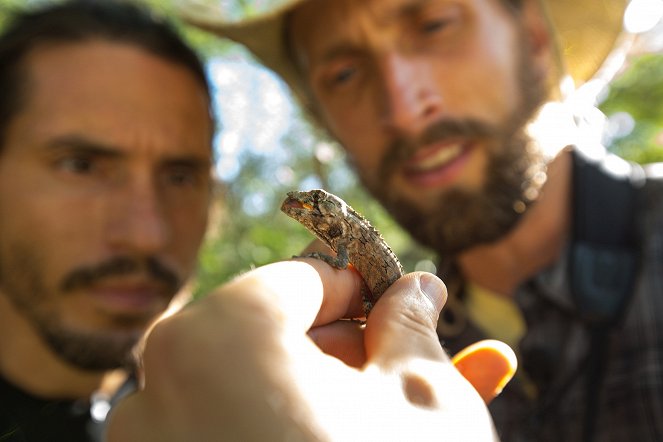Geheimnisvolle Leguane - Wenn Evolution sich wiederholt - Filmfotos