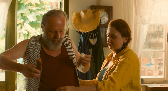 Přání k narozeninám - De la película - Jaroslav Dušek, Eva Holubová