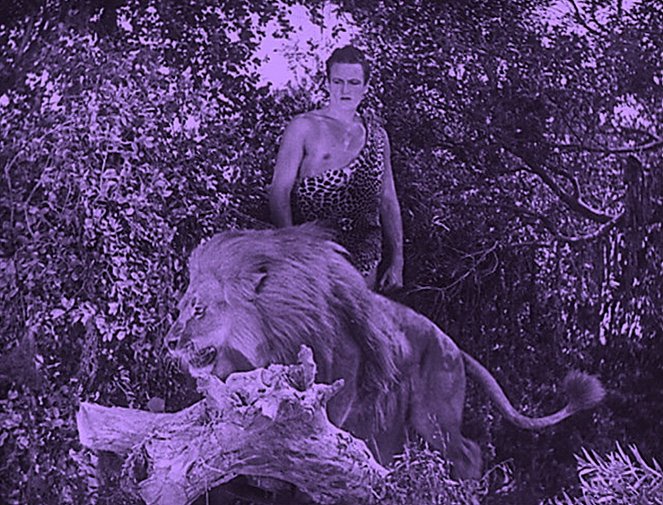 Tarzán y el león dorado - De la película