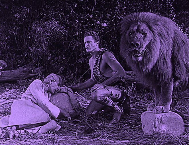 Tarzan and the Golden Lion - Van film