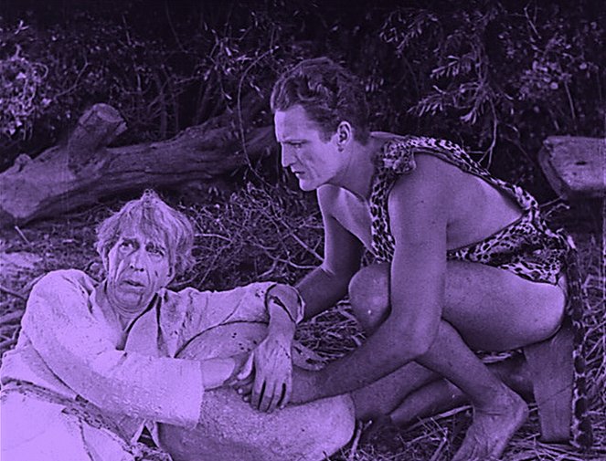 Tarzan and the Golden Lion - Van film
