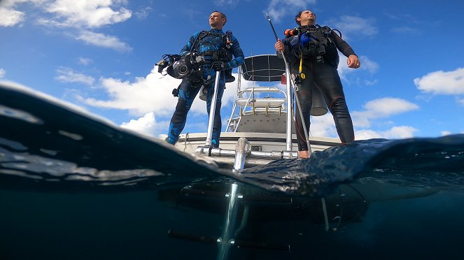 Bullenhaie - In neuen Gewässern - Filmfotos
