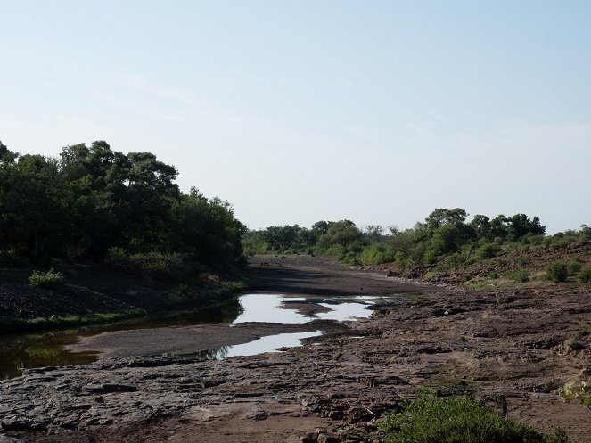 Africa River Wild - De la película