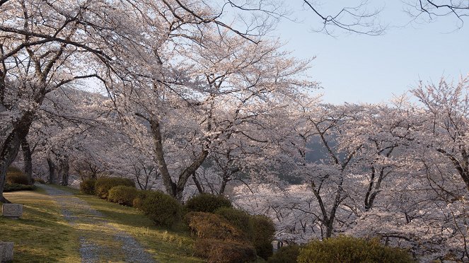 Japan im Licht der Jahreszeiten - Frühling und Sommer - Film