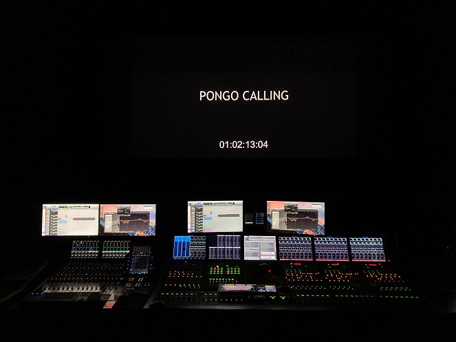 Pongo Calling - Z realizacji