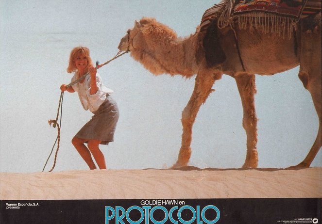 Protokol - Fotosky - Goldie Hawn