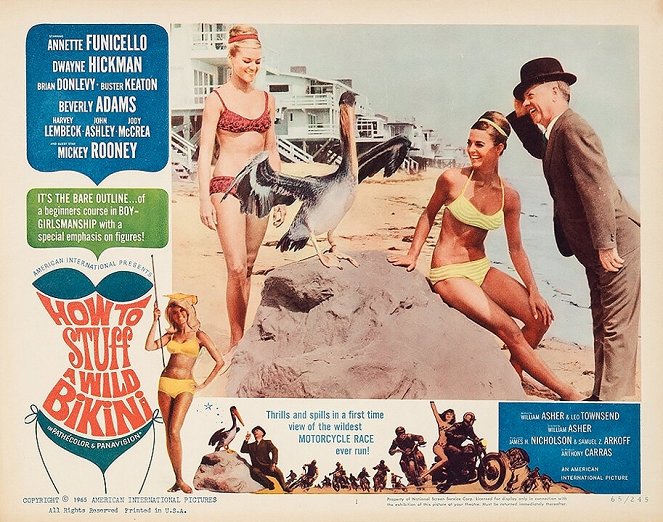 How to Stuff a Wild Bikini - Lobby Cards