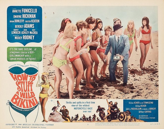 How to Stuff a Wild Bikini - Lobby Cards