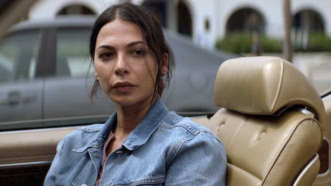 Animal Kingdom - Incognito - De filmes - Moran Atias