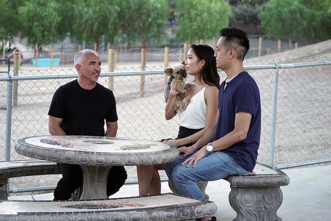 Cesar Millan: Better Human Better Dog - Kuvat elokuvasta