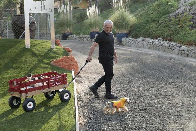 Cesar Millan: Better Human Better Dog - Do filme