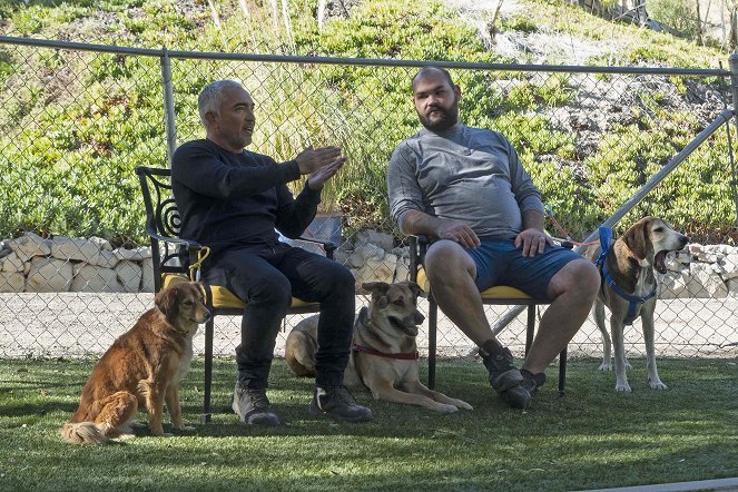Cesar Millan: Guter Mensch, guter Hund - Filmfotos