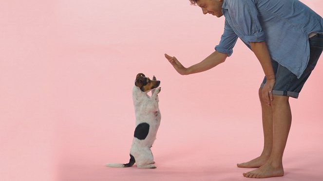 Die verborgenen Fähigkeiten unserer Haustiere - Kommunikation - Filmfotos