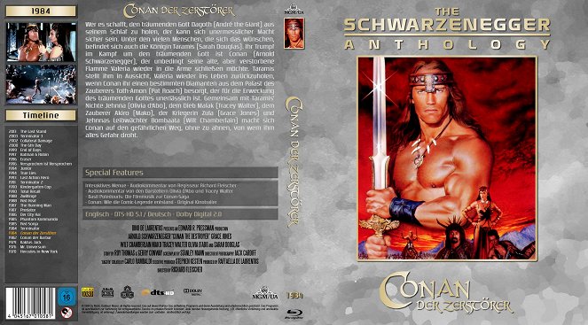 Conan the Destroyer - Covers