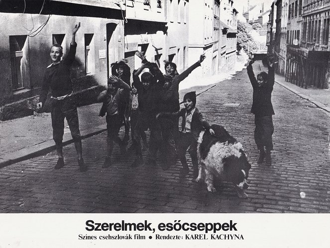 Szerelmek, esőcseppek - Vitrinfotók