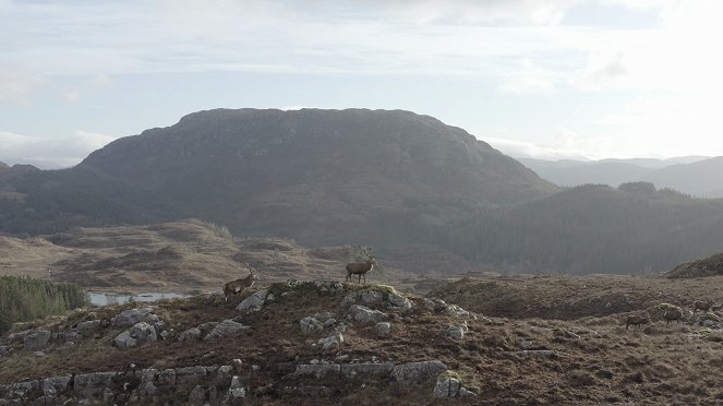 Skotsko: Rok v divočině - Z filmu