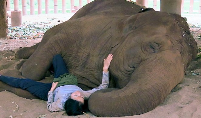 Elephant Mother - Z filmu