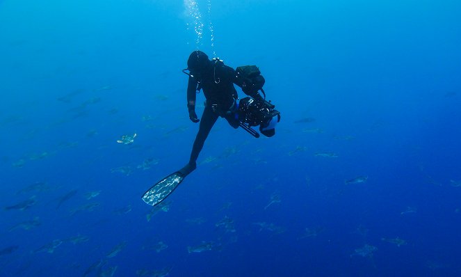 Epic Adventures with Bertie Gregory - Tracking Ocean Giants - Photos
