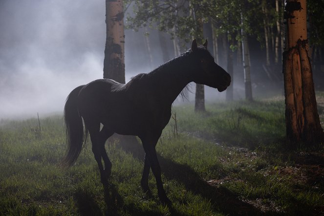 Heartland - Paradies für Pferde - Season 15 - Runaway - Filmfotos
