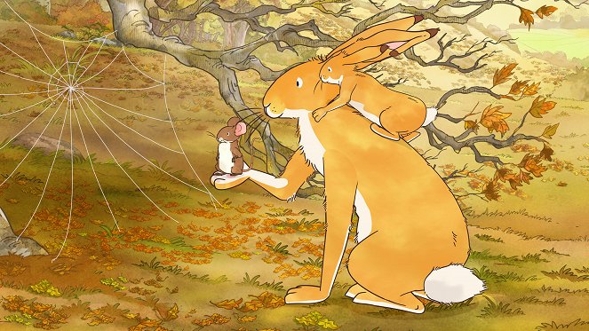 Guess How Much I Love You: The Adventures of Little Nutbrown Hare - Season 3 - Spider’s Web - Photos