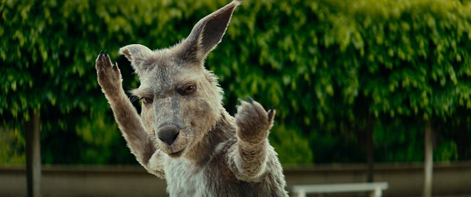 Die Känguru-Verschwörung - Kuvat elokuvasta