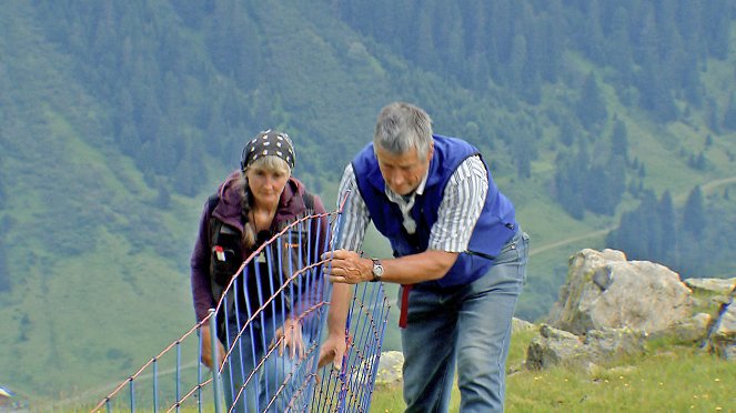 Kuh, Schaf, Wolf und Klima - Almen unter Druck - Photos