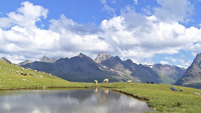 Kuh, Schaf, Wolf und Klima - Almen unter Druck - Filmfotos