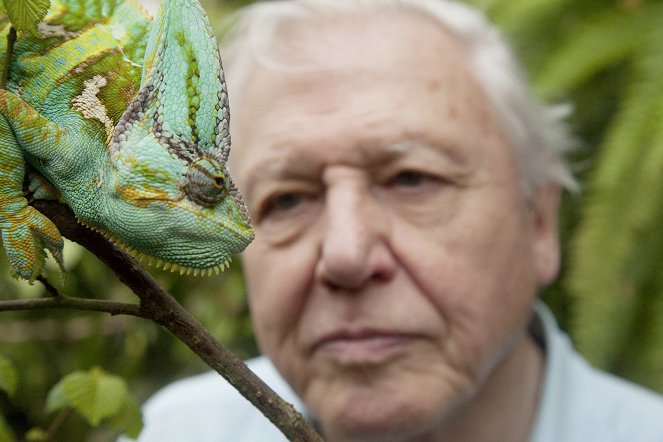 David Attenborough's Natural Curiosities - Season 1 - Stretched to the Limit - Z filmu