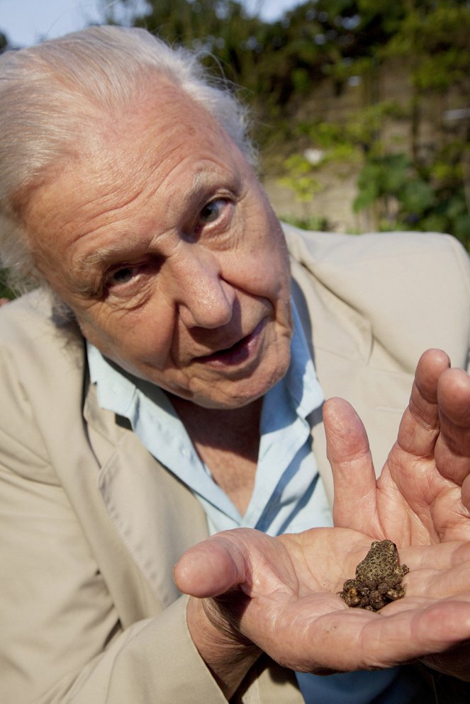 Prírodné kuriozity Davida Attenborougha - Season 1 - Velký podvod? - Z filmu - David Attenborough