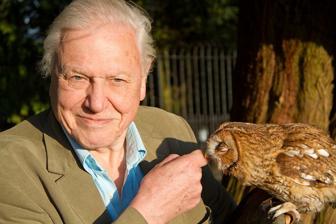 David Attenborough's Natural Curiosities - Season 2 - Life in the Dark - Z filmu - David Attenborough