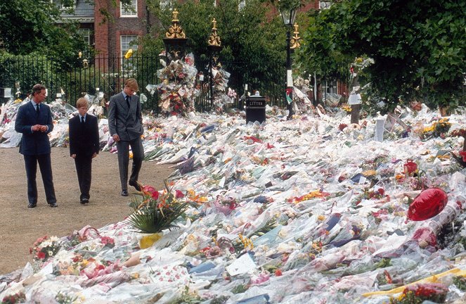 Diana: The Day Britain Cried - Van film