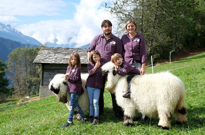 Moutons blancs, nez noirs - Les chouchous du Valais - Photos