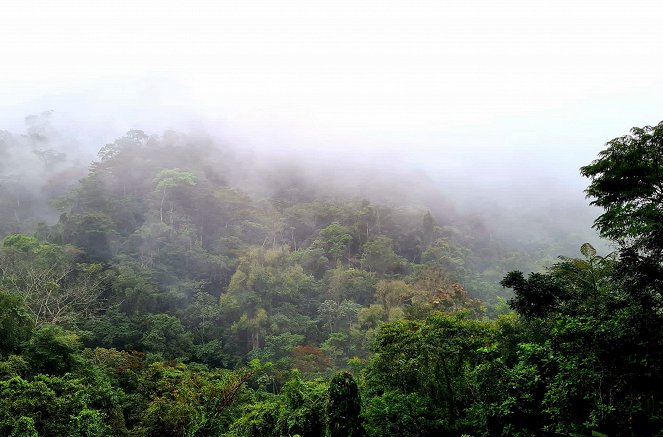 V srdci Střední Ameriky: Honduras - země tropických deštných lesů a pláží - Z filmu