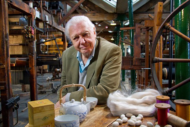 David Attenborough's Natural Curiosities - Spinners and Weavers - Do filme - David Attenborough