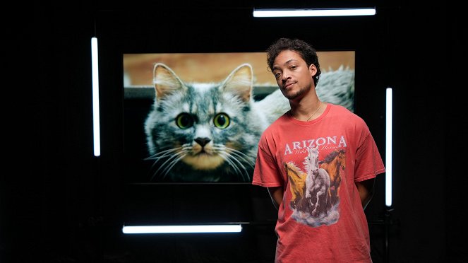 TierART - Eine animalische Kunstgeschichte mit Aurel Mertz - Katzen - Photos