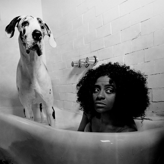 TierART - Eine animalische Kunstgeschichte mit Aurel Mertz - Hunde - Filmfotók