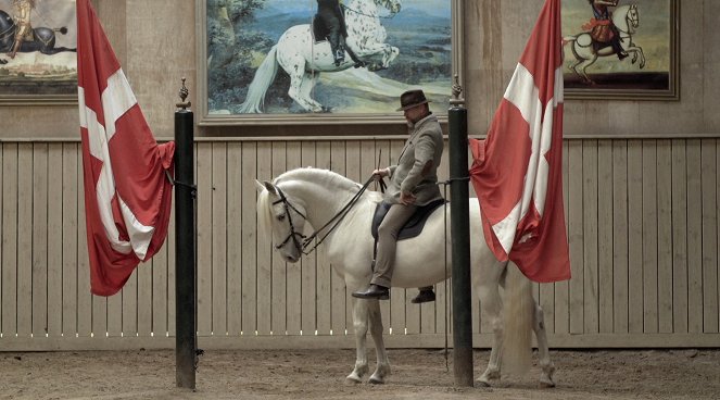 TierART - Eine animalische Kunstgeschichte mit Aurel Mertz - Pferde - Filmfotos