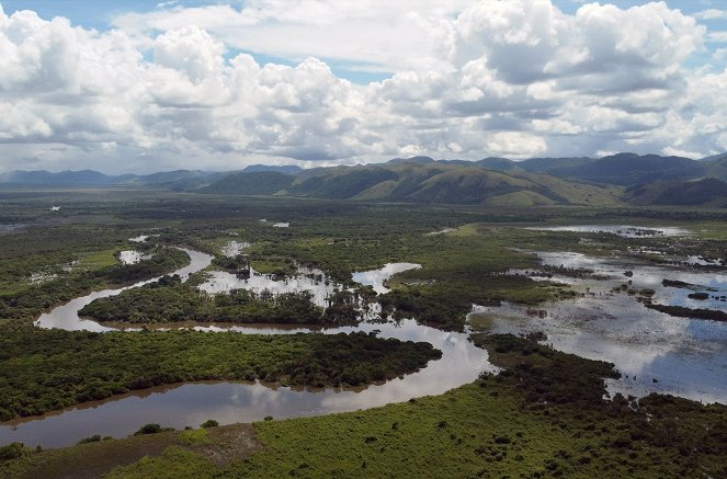 Guyana - In der Savanne der Anakonda - Photos