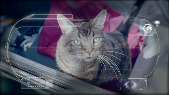 Annedroids - Season 1 - Von Mäusen und Katzen - Filmfotos