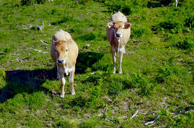 Nature in Symbiosis - La Lande - Photos