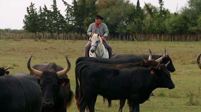 Eläinodysseijat - Le Voyage du cheval d'Eurasie - Kuvat elokuvasta