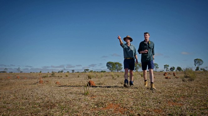 Állati odüsszeia - Le Voyage du kangourou d'Australie - Filmfotók