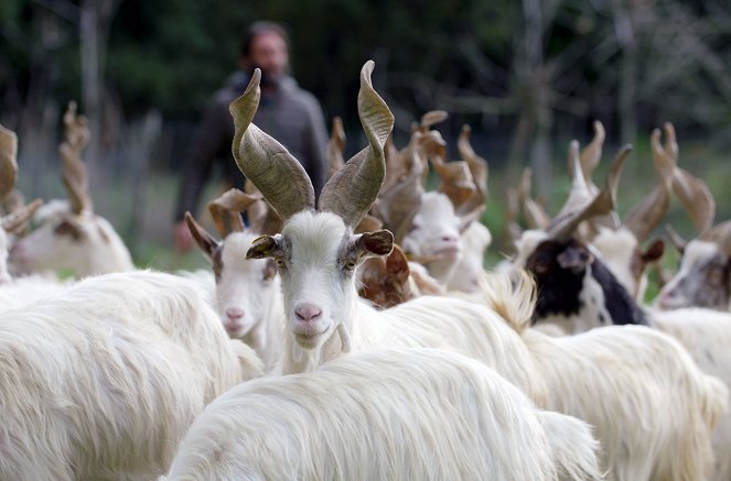 Köstliches Sizilien - Das nördliche Val di Mazara - Z filmu