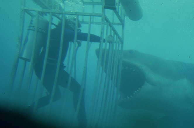 Jaws - Van film