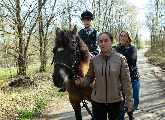 Zvířecí profesionálové - Kůň, který pomáhá policii - Filmfotos